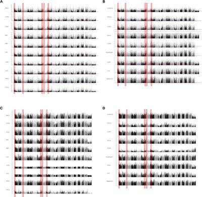 Pan-Cancer Genome-Wide DNA Methylation Analyses Revealed That Hypermethylation Influences 3D Architecture and Gene Expression Dysregulation in HOXA Locus During Carcinogenesis of Cancers